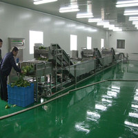Complete 3 ton/uur, 5 ton/uur, 10 ton/uur verse en diepvries fruit- en groentewas-, snij-, blancheer-, koel- en vriesmachinelijn