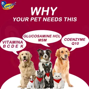 Groothandel 10 In 1 Huisdieren Supplementen Oem Dagelijkse Gezondheid Multifunctionele Ondersteuning Hoge Voeding Multi-Vitamine Voor Honden