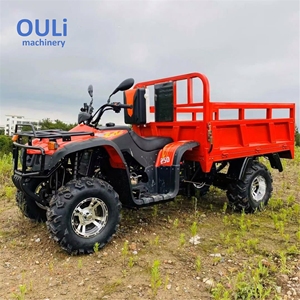 <span class=keywords><strong>Quad</strong></span> 4x4 tout-terrain 250cc pour adultes, idéal pour le transport de marchandises agricoles et les remorques agricoles - Product Image 1
