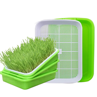 Mini plateau hydroponique réutilisable pour la plantation de balcon germes de haricots végétaux sans sol culture d'ail-conception de plaque de semis