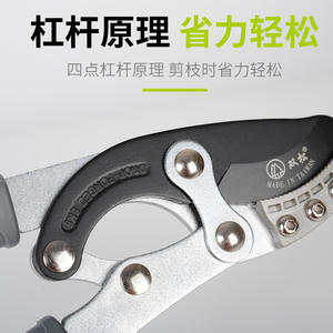 Tijeras de Podar Dobles de Acero al Carbono de Alta Resistencia, 210 mm, Diámetro de Corte de 20-30 mm, Estructura de Mariposa - Product Image 3