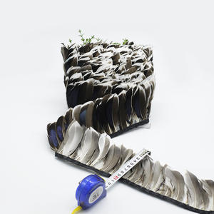 Accesorios de ropa de encaje con borde de tela de plumas naturales al por mayor patrón teñido con Emu <span class=keywords><strong>pollo</strong></span> pato verde puntas plateadas Borde de caña - Product Image 5