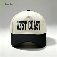 Casquette de baseball en coton à 5 panneaux, imperméable, respirante, bicolore, avec logo brodé 3D, pour la course et le sport, pour hommes, fabrication directe OEM