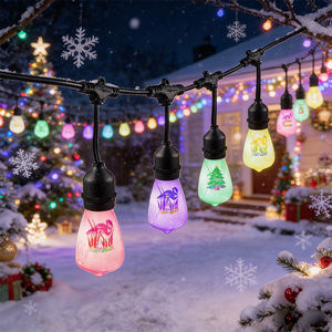 Cable <span class=keywords><strong>de</strong></span> Alimentación para Iluminación Decorativa <span class=keywords><strong>de</strong></span> Exterior S14 RGB Multicolor, Resistente al Agua y a la Intemperie - Product Image 2