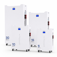 Batería de Almacenamiento Residencial Inteligente WIFI de 200Ah LiFePO4 y 10kWh, Económica y de Alta Eficiencia para Apartamentos
