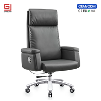 Chaise de bureau ergonomique professionnelle avec soutien lombaire et fonction pivotante
