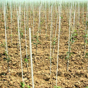 Tiges en fibre de verre Offre Spéciale pour support de tunnel de serre agricole - Product Image 6