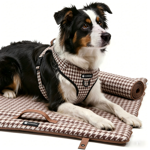 Luxuriöses Outdoor-Hundebett aus Oxford-Gewebe, zusammenklappbar, umweltfreundlich, kühlend, weich, waschbar, große Größe, langlebig, wasserabweisend, tragbar - Product Image 2