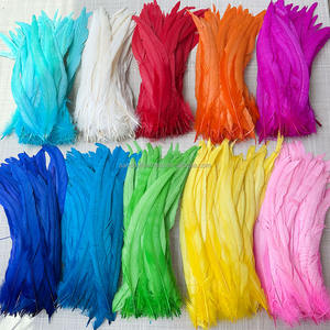 Ağartılmış boyalı 12-14 inç horoz kuyruk tüyler 30-35 cm horoz tüyler düğün festivali parti süslemeleri için el sanatları DIY karnaval - Product Image 1