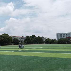 Proveedor Futsal Césped sintético Césped de fútbol artificial <span class=keywords><strong>5</strong></span> A Campo de fútbol lateral Artificial - Product Image 6