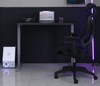 Table de bureau de levage électrique, planche de jeu en verre, bureau à domicile, hauteur réglable, bureau sur pied avec écran tactile