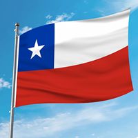 Drapeau du Chili 3x5 pieds en polyester 100D avec 2 œillets en laiton, résistant à la décoloration, logo personnalisé, drapeau national