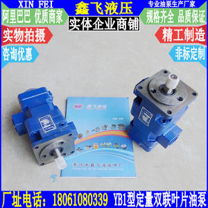 YB1-<b>32</b>/<b>32</b> YB1-50/50 Fixed Displacement Double Vane <b>Hydraulic</b> <b>Oil</b> Pumps Medium Pressure Fixed Displacement Double Vane Pumps - Product Image 1
