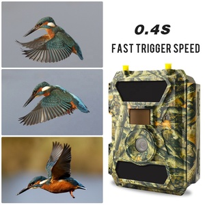 Bán Buôn IP66 Đêm Vison Kỹ Thuật Số Trò Chơi Hoang Dã Trail 3 Gam Săn Bắn Máy Ảnh - Product Image 3