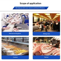Machine à éliminer l'huile de la peau de porc entièrement automatique en acier inoxydable - Équipement commercial de transformation de la viande 380V Garantie 5 ans