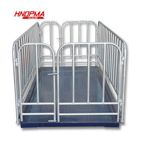 디지털 전자 플랫폼 규모 맞춤형 OEM 및 ODM 지원 최고의 가격 계량 기계 - Product Image 2