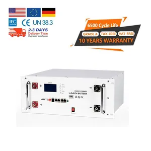 Tưng bừng 5kwh LiFePO4 Lithium Ion biến tần Pin 51.2V 100AH năng lượng mặt trời nhà UPS sao lưu 5KW 10kwh LiFePO4 năng lượng lưu trữ pin