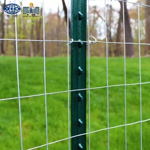 Factory <strong>Fence</strong> <strong>Post</strong> Metal Metal T Bar <strong>Post</strong> 6 Ft <strong>Posts</strong> For Livestock <strong>Fence</strong> - Product Image 2