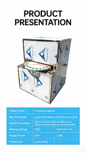 Machine à piler les Dattes, vente directe, date automatique professionnelle et pilon de fruits, pilon de pommes - Product Image 3