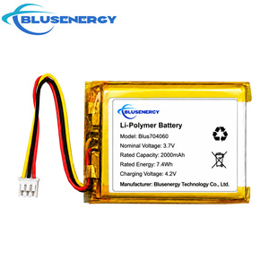 แบตเตอรี่ลิเธียมโพลิเมอร์ 3.7V 2000mAh รุ่น 704060 แบบชาร์จได้ พร้อมขั้วต่อ สำหรับอุปกรณ์ติดตาม GPS และอุปกรณ์สวมใส่ - Product Image 1