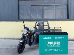 <span class=keywords><strong>Batterie</strong></span> gel <span class=keywords><strong>12v</strong></span> <span class=keywords><strong>45ah</strong></span> 6-EVF-45 <span class=keywords><strong>batterie</strong></span> plomb-acide à cycle profond pour Folklifts électriques - Product Image 2