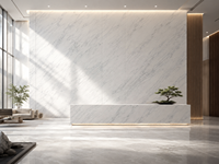 Dalles de marbre blanc oriental pour comptoirs de cuisine, carreaux de sol d'hôtel, marches d'escalier, lavabos en pierre et grands panneaux muraux sur mesure