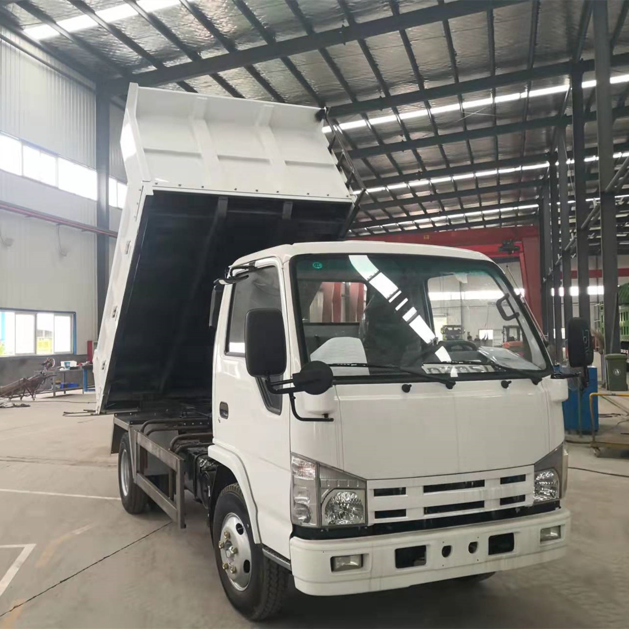 Isuzu Tipper