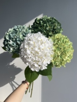 Y-H054 Fleurs d'hortensia artificielles de haute qualité en soie pour la décoration de la maison, de mariage et de la Saint-Valentin