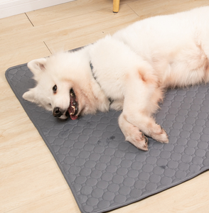 Saisonale wasserdichte und urins ichere Haustier-Boden matte Anti-Tear <span class=keywords><strong>Dog</strong></span> Cage Matratze Bequemes Bett zum Schlafen - Product Image 5