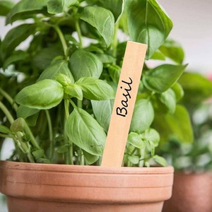 Custom Fashionable Polished <b>Wooden</b> Rectangle Garden <b>Plant</b> <b>Labels</b> & Stakes-Nursery Markers for Gardening & Promotions - Product Image 4