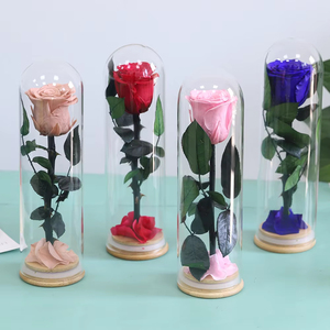 Rosa Preservada en Cúpula de Cristal, Campana Alta de Borosilicato con Base de Madera, Regalo Eterno de una Sola Flor para el Día de San Valentín, Boda - Product Image 4