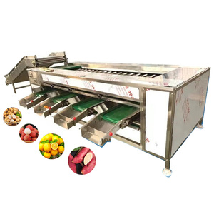 Máquina Clasificadora de Frutas y Verduras Comercial Eficiente, Clasificadora de Naranjas por Tamaño, Máquina Clasificadora de Patatas, Cerezas y Tomates - Product Image 1