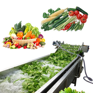 Electric Bubble Water Fruit Vegetable Washing And Peeling Machine Automatic Vegetable Washer Machine