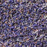 Kuncup Lavender Kering Premium Baru, Bahan Baku Wangi untuk Teh Herbal Sehat, Tersedia Grosir dalam Jumlah Besar