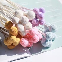 Fleurs de Craspedia Conservées Les Plus Populaires de 2022 Décoration Maison & Mariage Décoration de Noël Boule Dorée Lumière Solaire Longue Durée