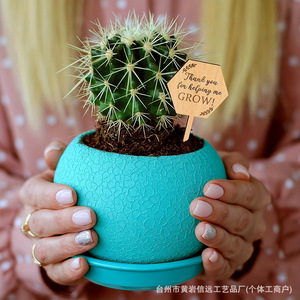 Étiquettes créatives <span class=keywords><strong>en</strong></span> bois <span class=keywords><strong>de</strong></span> bambou, marqueurs <span class=keywords><strong>de</strong></span> jardin naturels pour plantes <span class=keywords><strong>en</strong></span> pot, <span class=keywords><strong>fleurs</strong></span>, succulentes, <span class=keywords><strong>légumes</strong></span>, semis, décorations cadeaux - Product Image 1