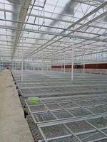 Bancos de Cultivo Hidropónico Personalizados de 4x8 pies con Sistema de Flujo y Reflujo, Estantes Rodantes de Doble Capa, Mesa de Cultivo Vertical, Estantes de Cultivo Grandes
