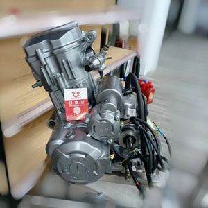 Moteur <span class=keywords><strong>Zongshen</strong></span> 250cc, avec refroidissement à eau, pour moto à trois roues, offre spéciale, OEM - Product Image 4