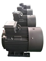 Utilisation industrielle de moteurs à induction AC asynchrones triphasés 10hp 20hp 30hp 40hp 50hp