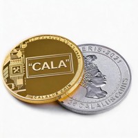 Pièces de Monnaie Souvenirs Modernes de Finance Globale Doublement Plaquées Personnalisables pour les Passionnés de FinTech et les Collectionneurs de Tendances Économiques Mondiales
