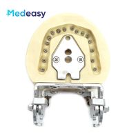 Modelo de Dientes para Estudiantes de Odontología, Simulación Médica, Encías Suaves, Silicona de Alta Calidad, PVC, 8x6.5cm, para Preparación