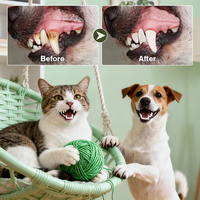 Spray de soins dentaires de luxe de marque privée pour chiens chat rafraîchit l'haleine lutte contre l'accumulation de tartre sans rinçage nettoyage des dents eau buccale