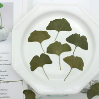 Adesivi in Resina Epossidica con Foglie di Ginkgo Naturali, Ecologici, Fiori Veri Pressati, Segnalibro con Foglie di Ginkgo