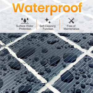 Dokio на заказ 50 Вт 100 Вт 150 Вт моно кристаллические солнечные панели из Китая - Product Image 5