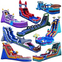Toboggan aquatique gonflable de 22 pieds de long, qualité commerciale, PVC, prix d'usine ODM OEM, avec tunnel et piscine