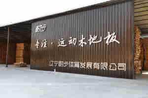 Terrain de squash de basket-ball intérieur Parquet en bois d'érable Revêtement de sol en caoutchouc Panneau de bois portable Gym NB Assembly Maple - Product Image 5