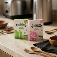 JST0022 - Vente en gros de chewing-gum sans sucre au xylitol, saveur menthe rose, 32 g
