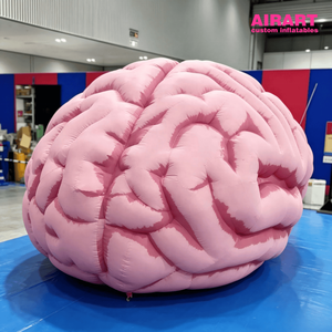 Modèle <span class=keywords><strong>de</strong></span> cerveau humain gonflable géant personnalisé 3M rose, simulation anatomique, accessoire pour <span class=keywords><strong>l</strong></span>'affichage éducatif dans les musées scientifiques - Product Image 1