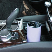 Rafraîchisseur d'air portable pour voiture personnalisé Carrosseries de parfum Machine USB de diffusion de parfum d'aromathérapie