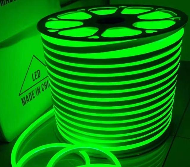 Customizable Smart Strip Lights 220V Neon Flex LED Indoor/Outdoor Holiday Lighting 8*16mm PVC IP67 Pink Orange Ice Blue Green"